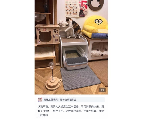 喬不---