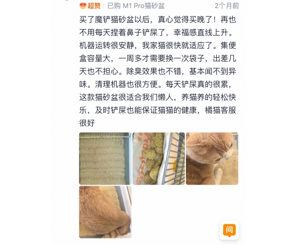 檀檸----