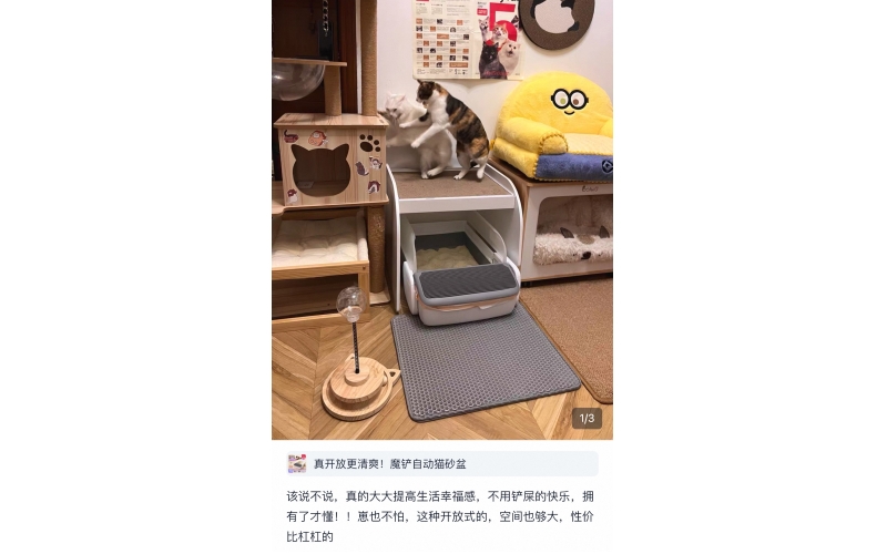 喬不---