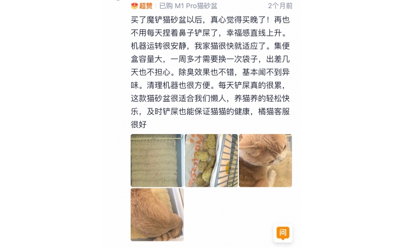 檀檸----